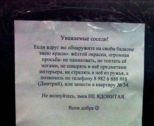 Нашел змею - отдай соседу! Нашел змею - отдай соседу!
