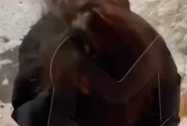 В России подростки поставили школьника на колени и заставили просить о прощении