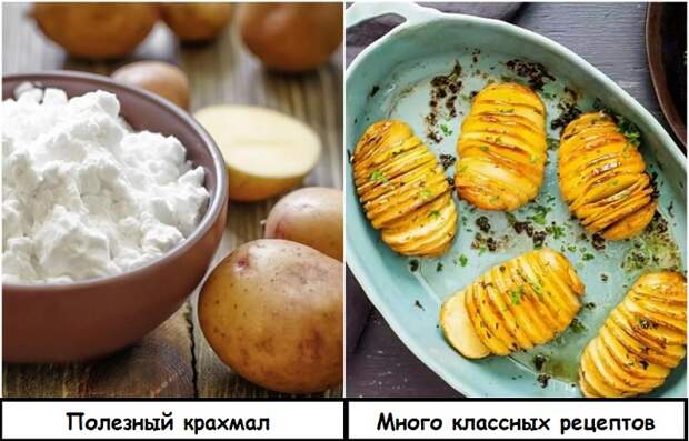Почему не нужно исключать картофель из своего рациона (+3 крутых рецепта)