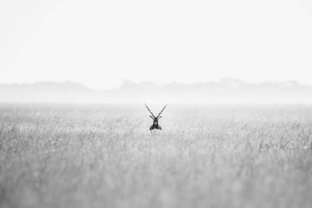 Работы с фотоконкурса National Geographic Travel Photographer 2019