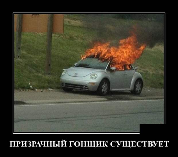 Демотиваторы (30 фото)