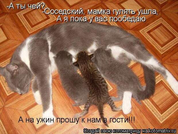 Мысли вслух :)