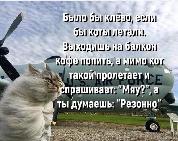 Веселые картинки с позитивчиком