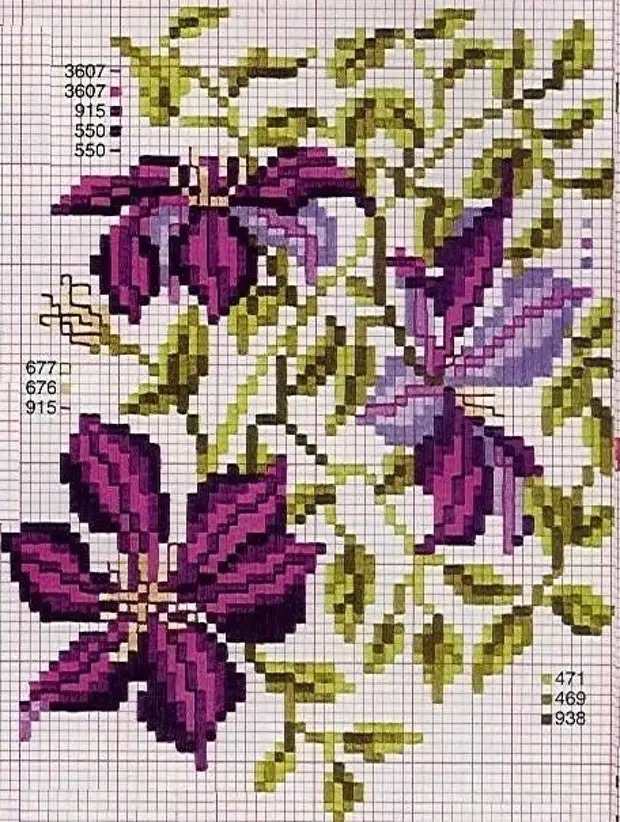 Клематис схема