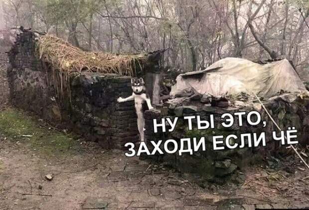 Прикольные картинки (30 фото)