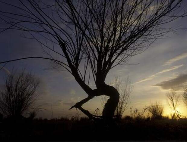 Видели живой: девочку, которая признана погибшей в результате атаки на Туапсе, продолжают искать