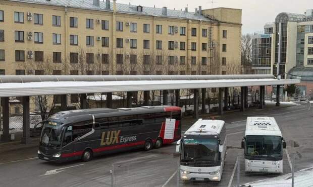 Между Петербургом и Севастополем запустят прямой автобусный маршрут