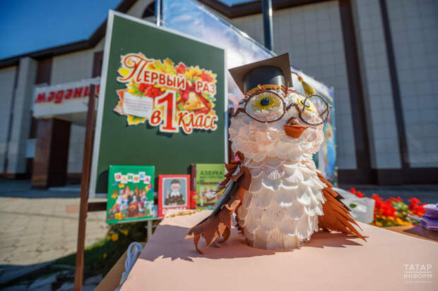 1 апрельдән «Дәүләт хезмәтләре»ндә баланы беренче сыйныфка язу мөмкинлеге барлыкка килщ