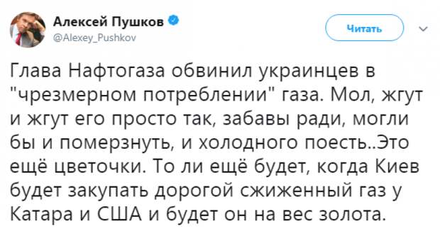 Сенатор РФ о Киеве, обвинившем украинцев в «чрезмерном потреблении» газа: «Это еще цветочки»