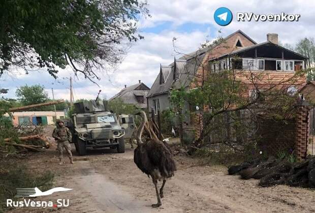 Украинские боевики устроили свою базу в зоопарке (ФОТО)
