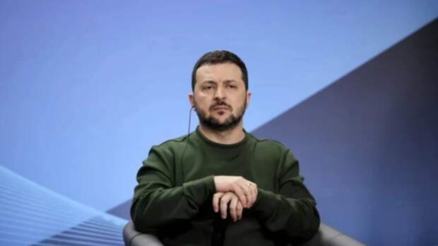 "Ведет в таежный тупик". Эксперты оценили мирный план Зеленского из 20 пунктов