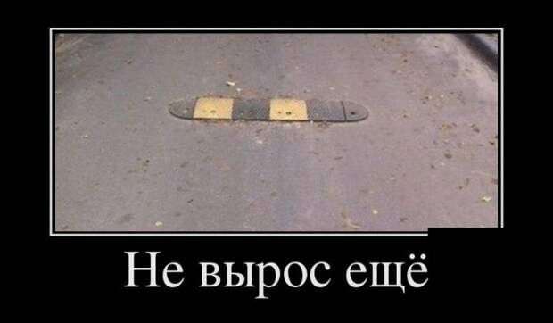 Не вырос ещё демотиватор, юмор