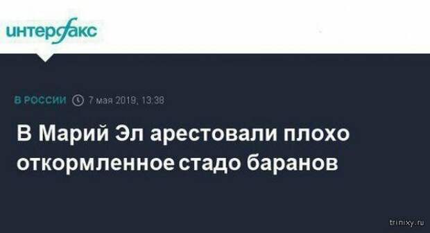 Новости, которые мы заслужили: 30+ безумных заголовков из СМИ