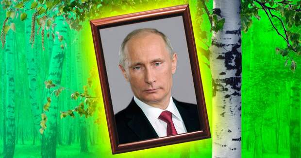 4 странных факта о том, как портреты Путина спасли рощу и скверы от застройки