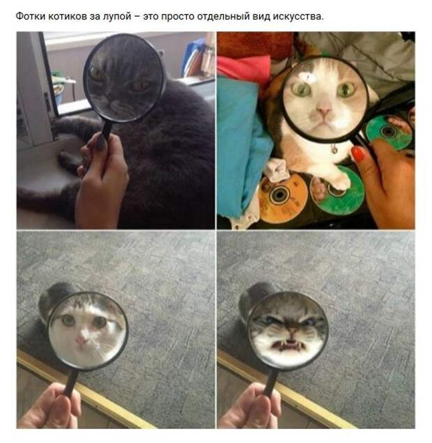 Нестандартный юмор :)