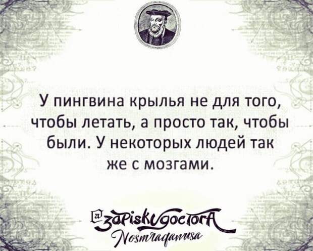 Разносортица