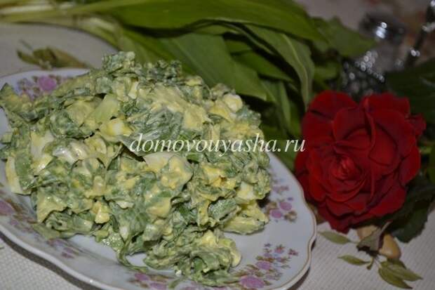 Весенний салат с черемшой рецепт с фотографиями