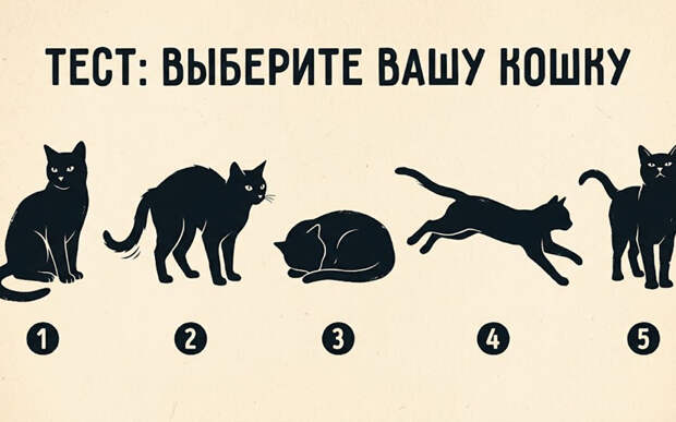 Тест личности по картинке: выберите кошку и поймите, что нужно изменить для удачи и счастья
