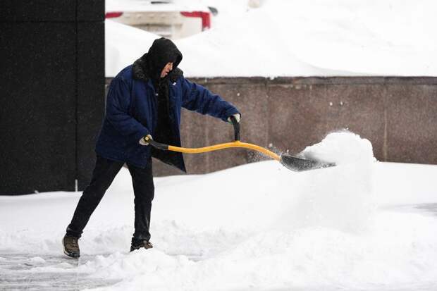 МВД предупредило о мошенничестве под предлогом помощи в уборке снега
