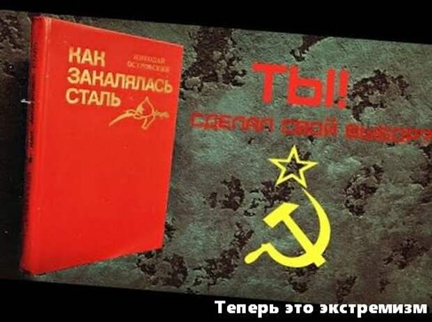 Книга , переведённая на 75 языков СССР, и на 56 языков мира, убрана из школьной программы.