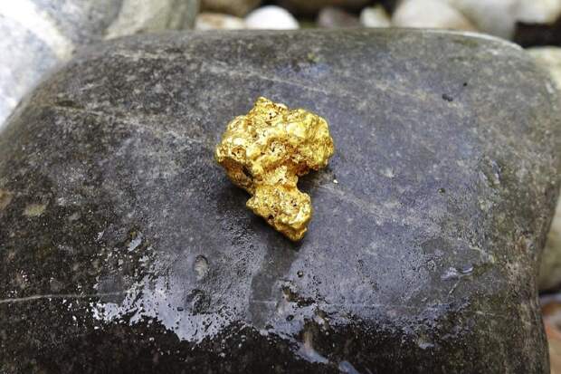 Залежи золота обнаружены на территории Донбасса