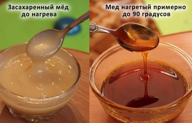 Микроволновка поможет восстановить засахарившийся старый мед. Микроволновка поможет восстановить засахарившийся старый мед.