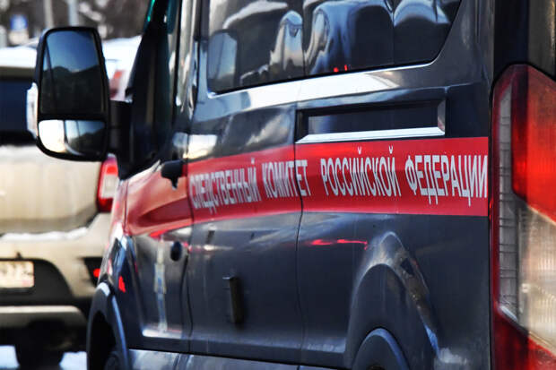 Расправившийся с матерью и братом россиянин избежал тюрьмы