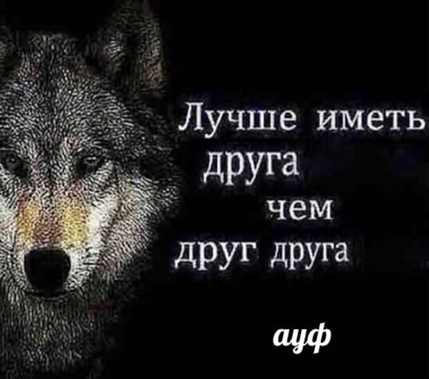 что такое ауф