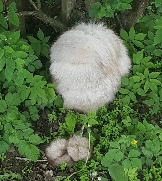 14 фотографий, которые заслужили награду за лучший обман зрения
