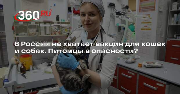 Ветклиники в России сообщили о дефиците вакцин для домашних животных