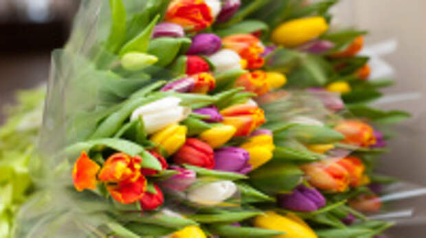 Первый Фестиваль цветов пройдет 23 августа в Лежневе