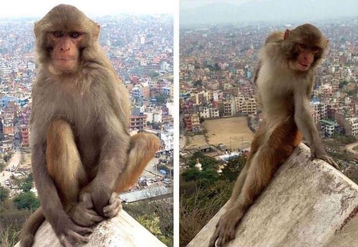 25 смешных и чрезвычайно странных фотографий, не поддающихся объяснению странные фотографии, фотографии не поддающиеся обхяснению