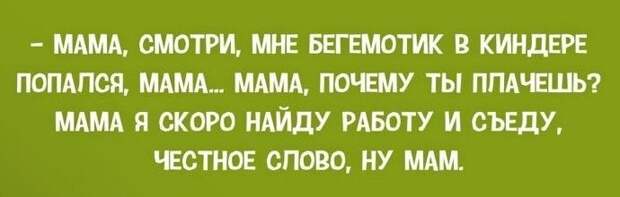 У приматов альфа-самец, чтобы показать свою власть, часто делает следующее...