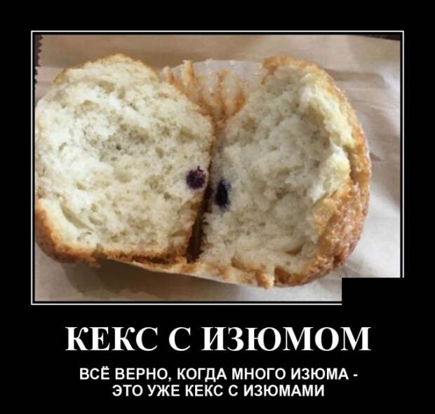 Демотиваторы (30 фото)
