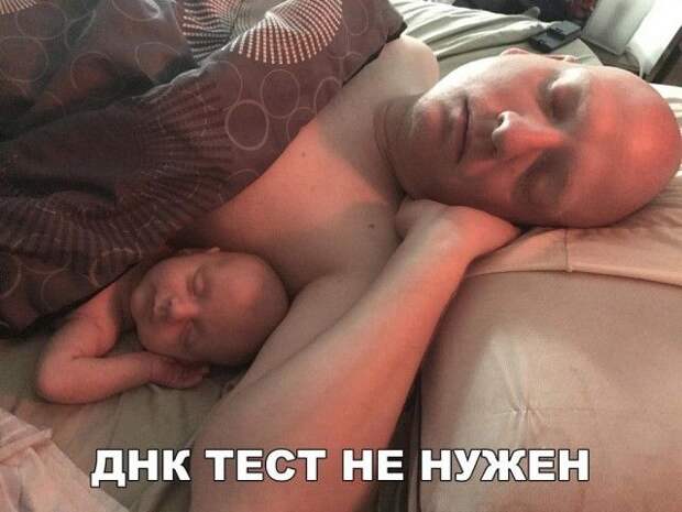 Подборка картинок. Вечерний выпуск (28 фото)