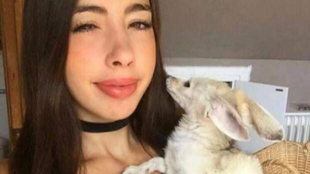 Cделала из лисенка вегана и довела его до полусмерти