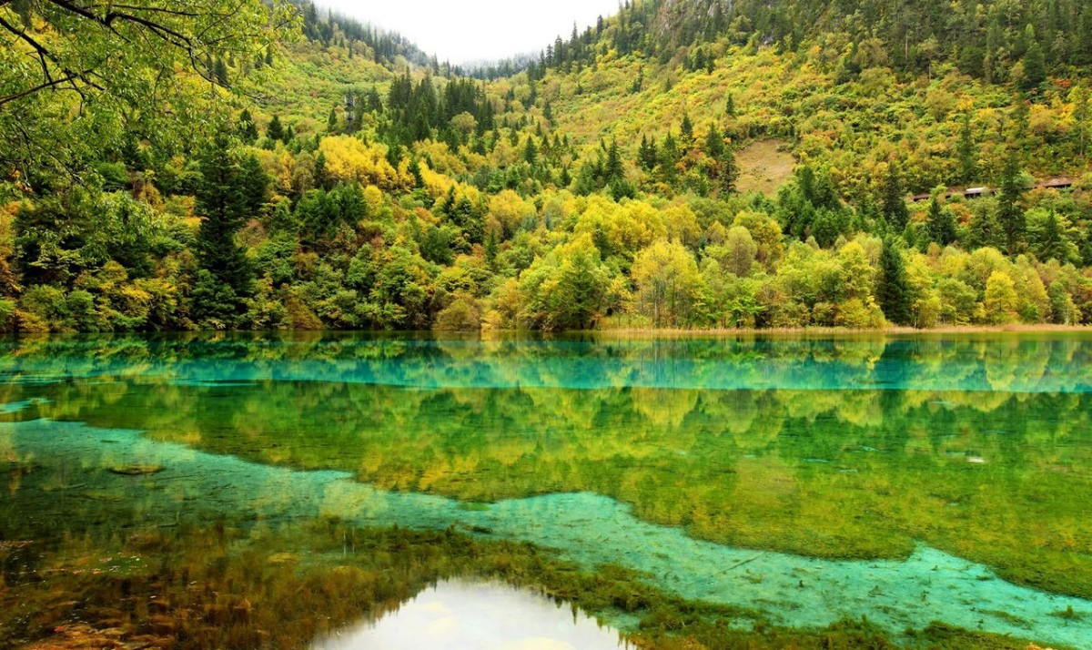 6 фотографий крутых цветных бассейнов в заповеднике в Китае