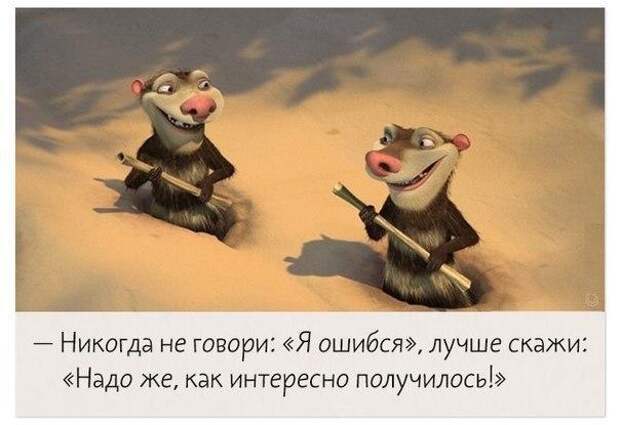 Забавные фото и картинки с надписями Забавные фото и картинки с надписями