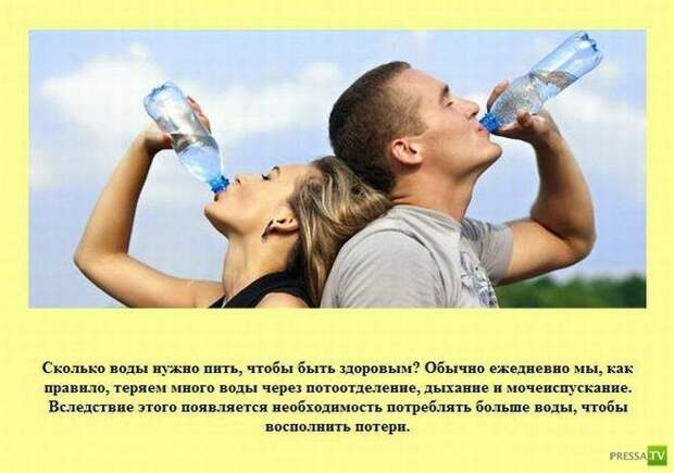Прикольные факты о которых вы не знали