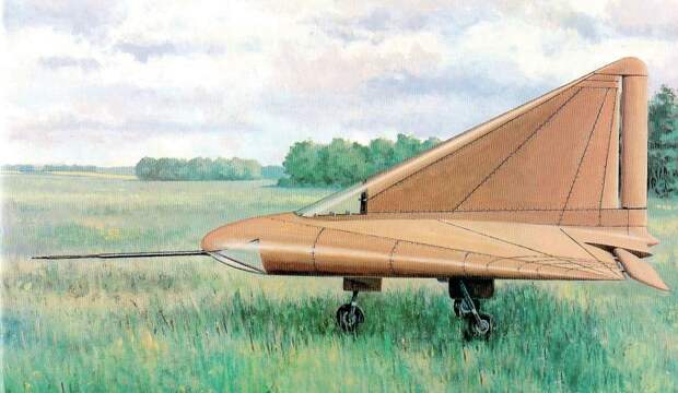 Планер Александра Липпиша DM-1