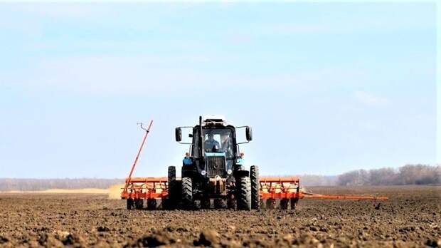 На Кубани стартовала посевная кампания яровых культур