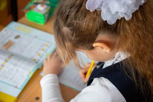 Туляков зачислят в первый класс в два этапа с апреля по сентябрь