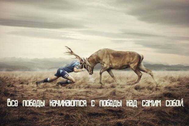 Картинки по запросу "победа мотивация"
