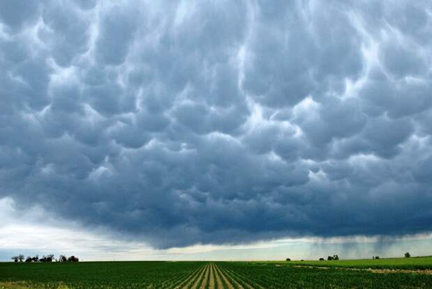 Необычные облака: Mammatus