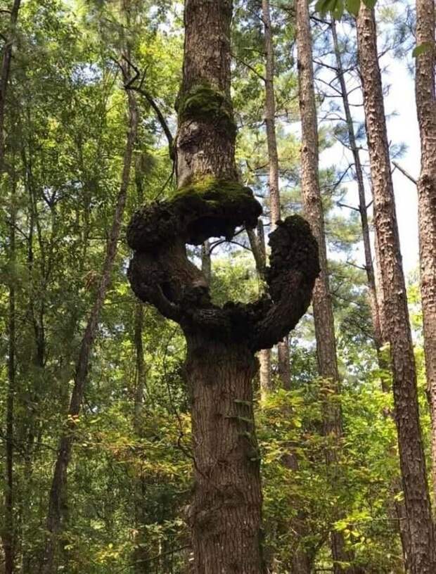 Окружены, но не сломлены