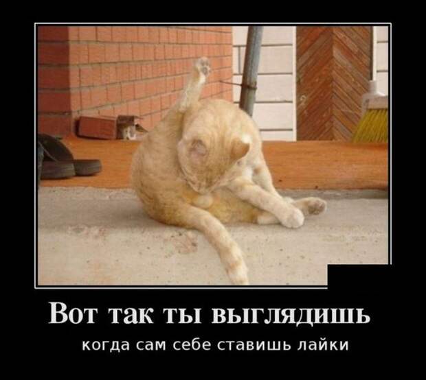 Смешные демотиваторы на выходные (11 фото) Смешные демотиваторы на выходные (11 фото)
