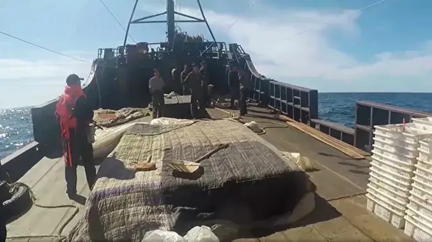 Задержанные рыбаки из КНДР будут находиться на судах в порту Находки