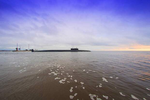 Водоросли Белого моря: от экологии до биотехнологий – ВНИРО на передовой науки