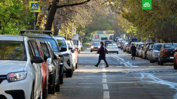 ГИБДД Москвы назвала главные причины ДТП с водителями-новичками