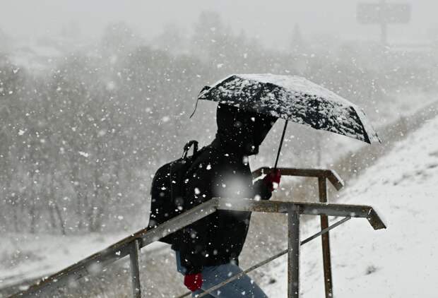 Москвичам рассказали о погоде